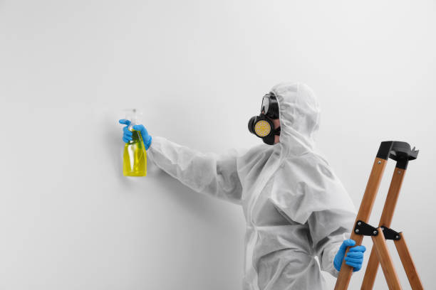 Why You Should Choose Our Mold Remediation Services in Chatfield, MN